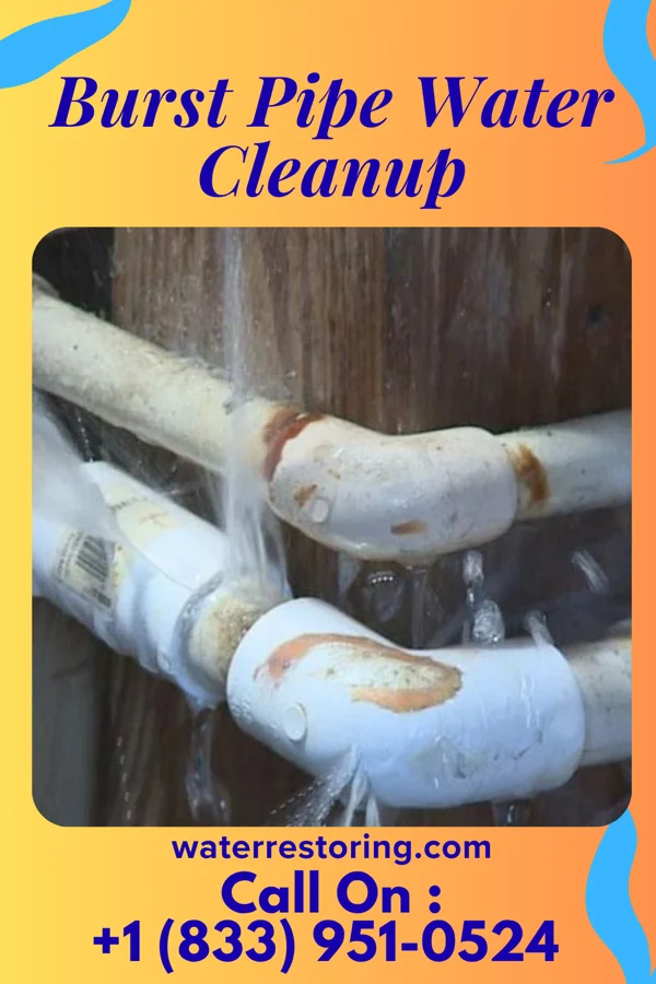 Burst Pipe Water Cleanup in West View, PA