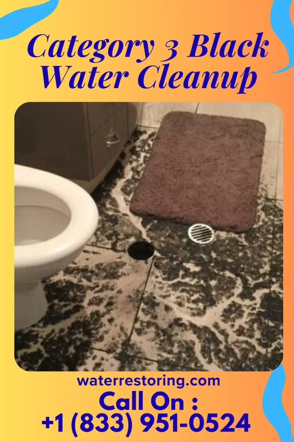 Category 3 Black Water Cleanup in West View, PA