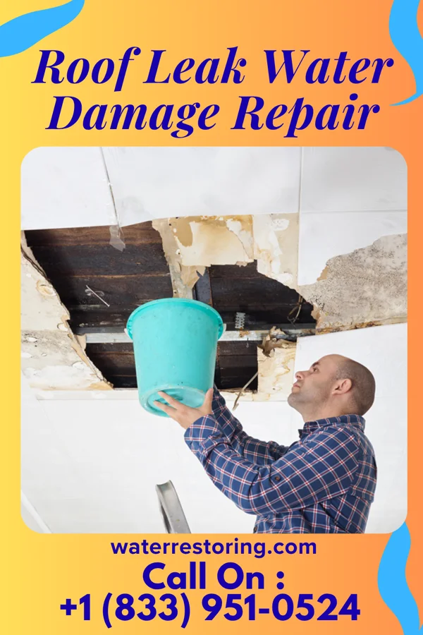 Roof Leak Water Damage Repair in West View, PA