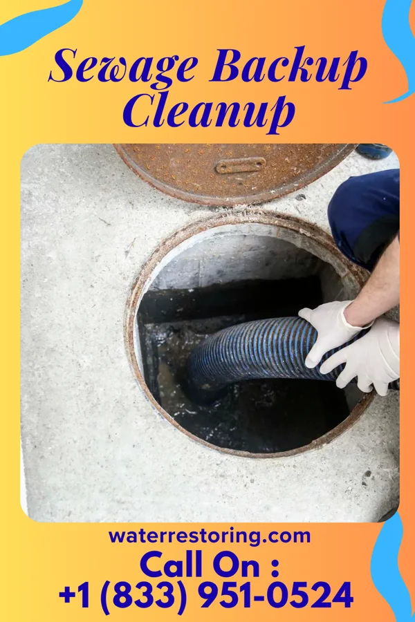Sewage Backup Cleanup in West View, PA