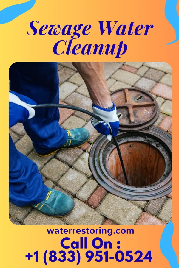 Sewage Water Cleanup in West View, PA